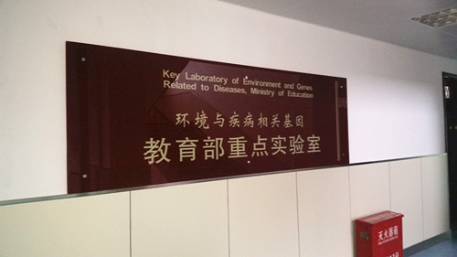 &#20048;&#40060;&#23448;&#26041;&#31471;&#32593;&#31449;&#30331;&#24405;&#20837;&#21475;&#45;&#20048;&#40060;&#108;&#101;&#121;&#117;&#40;&#20013;&#22269;&#41;